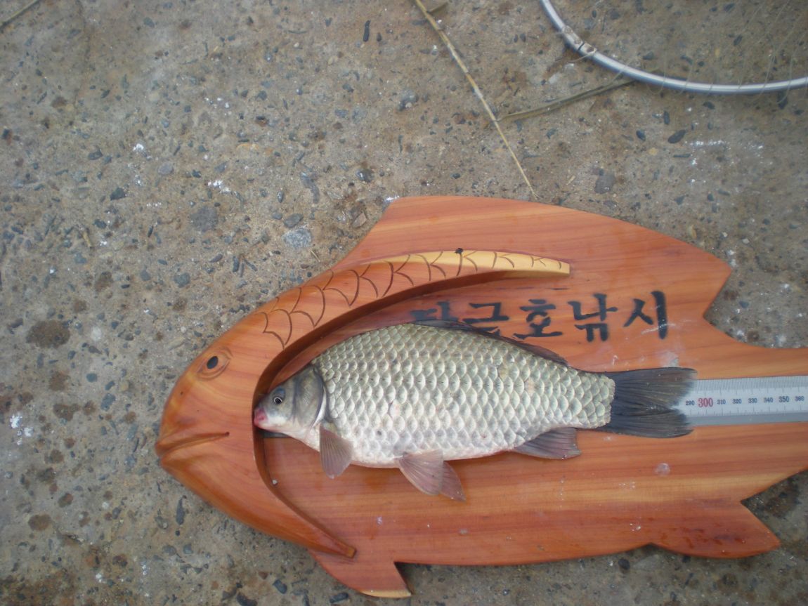 DSCN3169.JPG