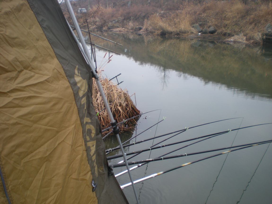 DSCN3173.JPG