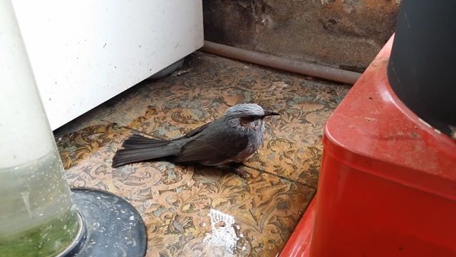 20150218_104556.jpg