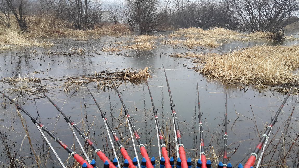 20150318_072024.jpg