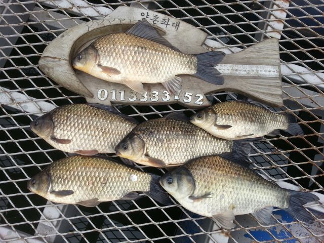 2015-4-8̰ 013.jpg