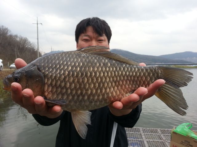 2015-4-8̰ 015.jpg