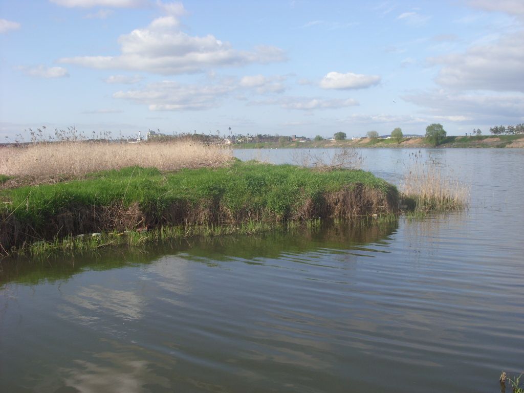 SN855662.JPG