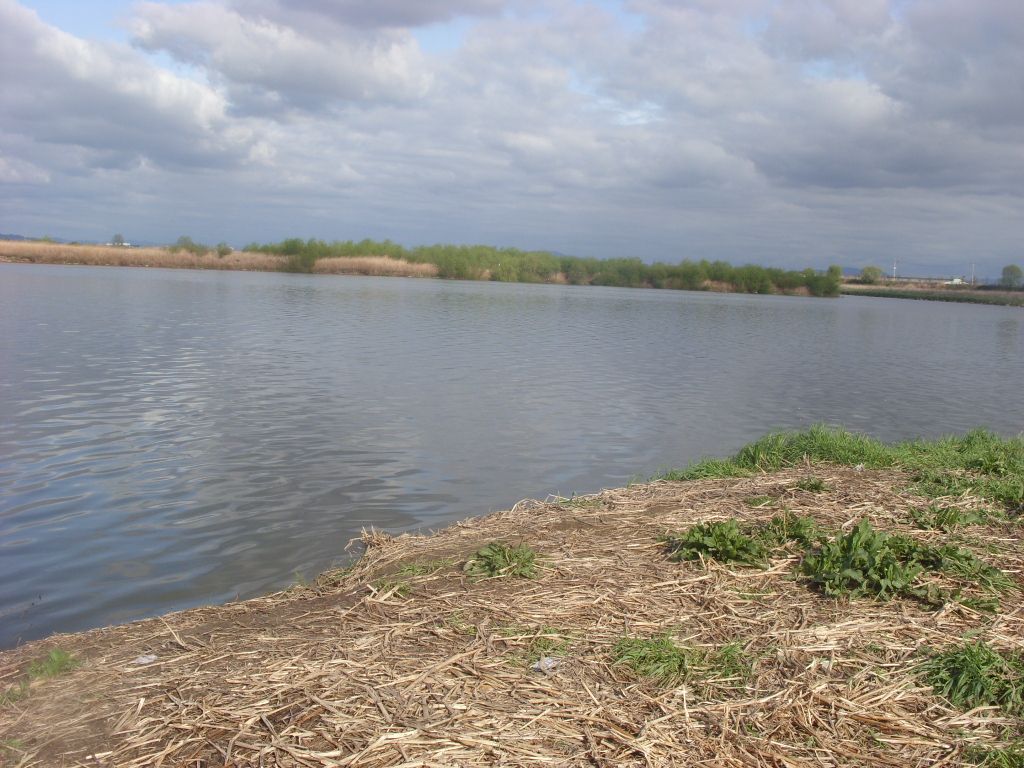 SN855663.JPG