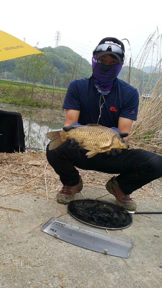 1430571083195.jpeg
