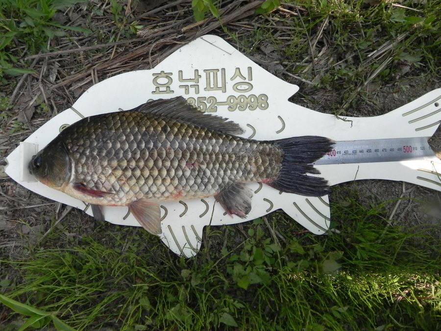 2015-5-10̰ 001.jpg