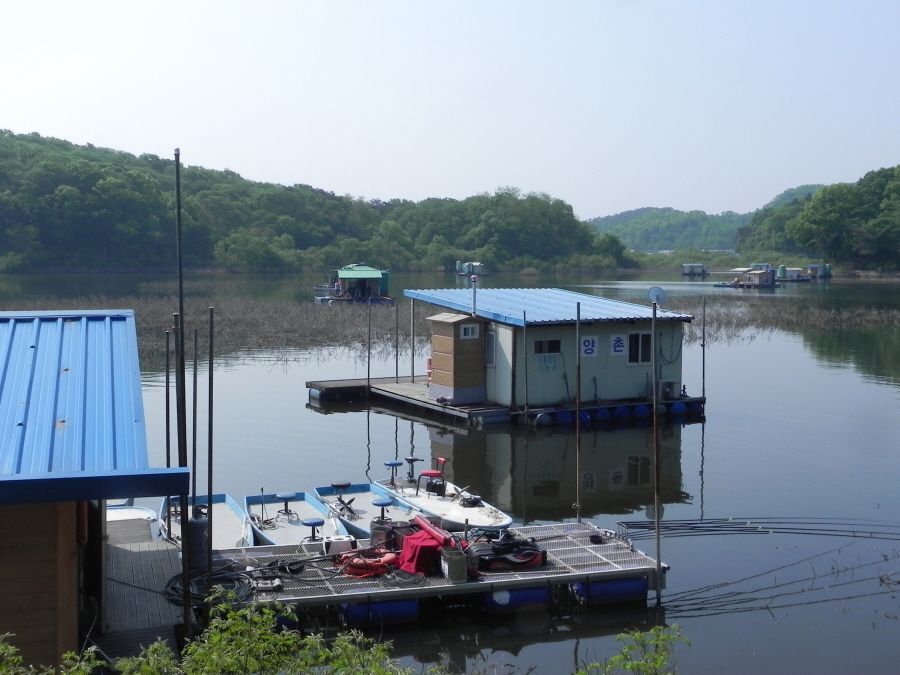 2015-5-10̰ 015.jpg