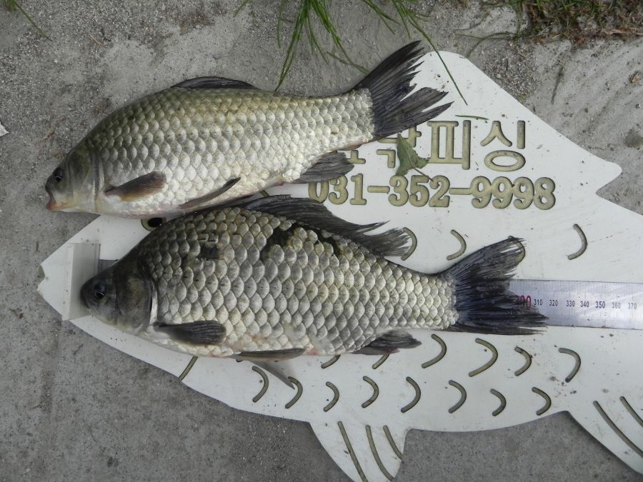 2015-5-10̰ 023.jpg