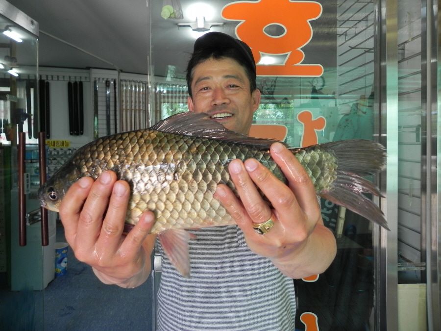2015-5-10̰ 031.jpg