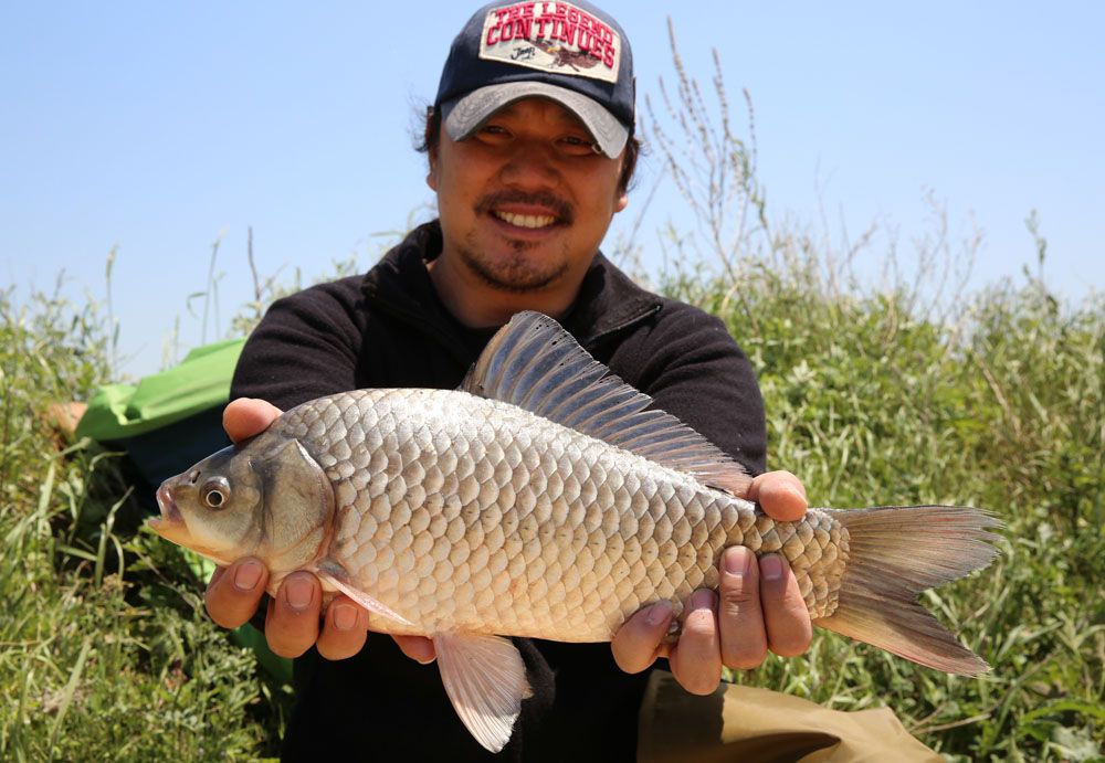 ��ͼ��� ���� 45cm �ؾ� ���� ����� �빰 �����մϴ٤�.jpg
