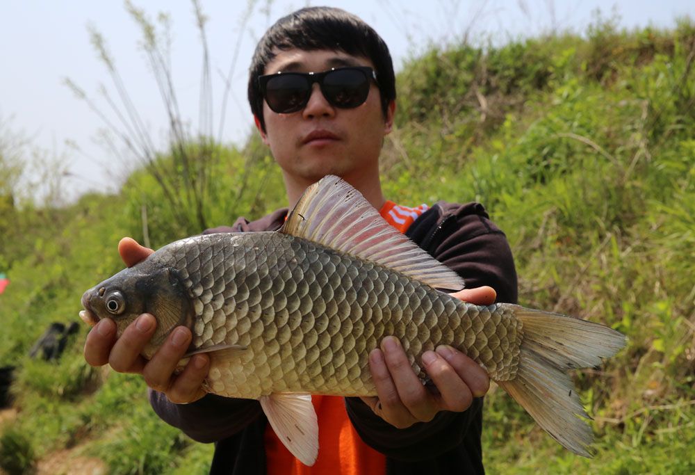 ȣ  42cm ؾ   빰 մϴ.jpg