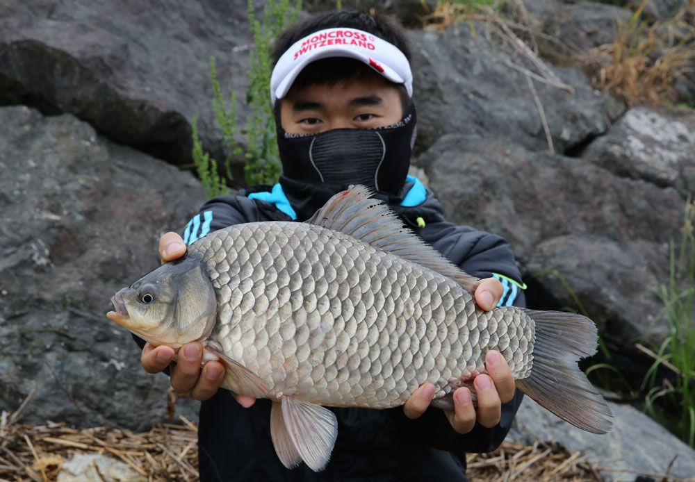 ±èÇüÁÖ´ÔÀÌ ³¬Àº 465cm ºØ¾î ¸ÚÁø Æ÷Áî¿Í ´ë¹° ÃàÇÏÇÕ´Ï´Ù.jpg