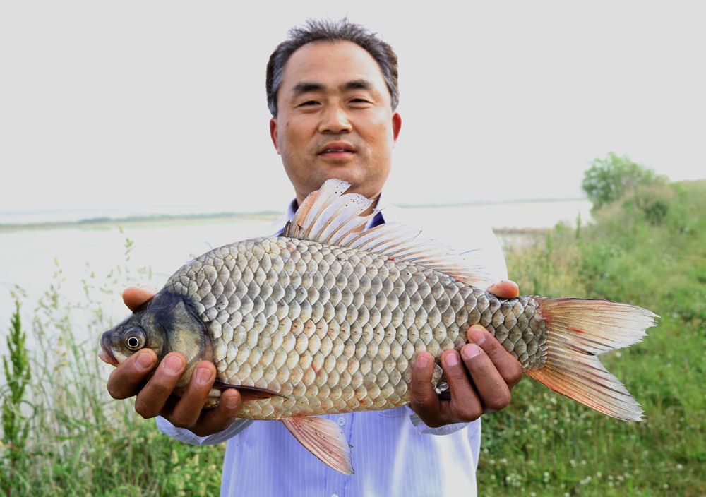 ڱ 45cm ؾ   빰 մϴ.jpg