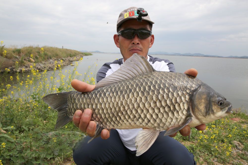 迵õ  44cm ؾ   빰 մϴ.jpg