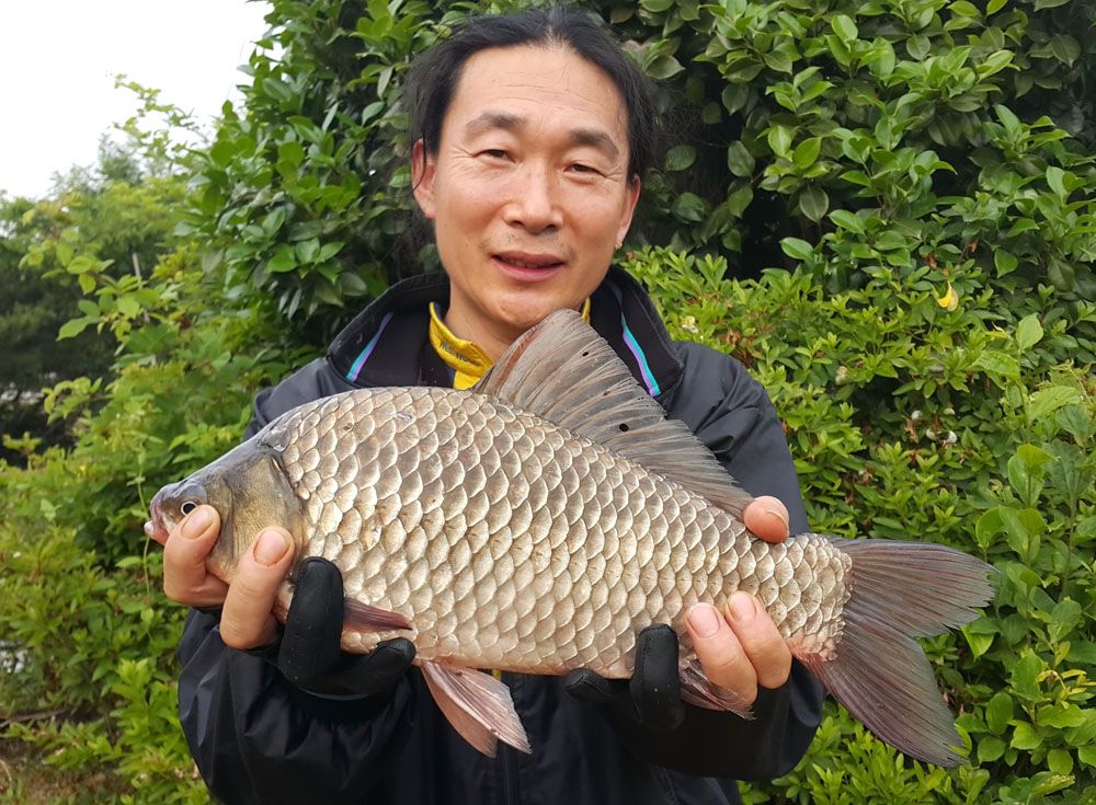 Ѵ  44cm ؾ   빰 մϴ.jpg
