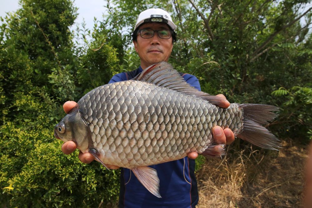 �����δ��� ���� 45cm �ؾ� ���� ����� �빰 �����մϴ٤�.jpg