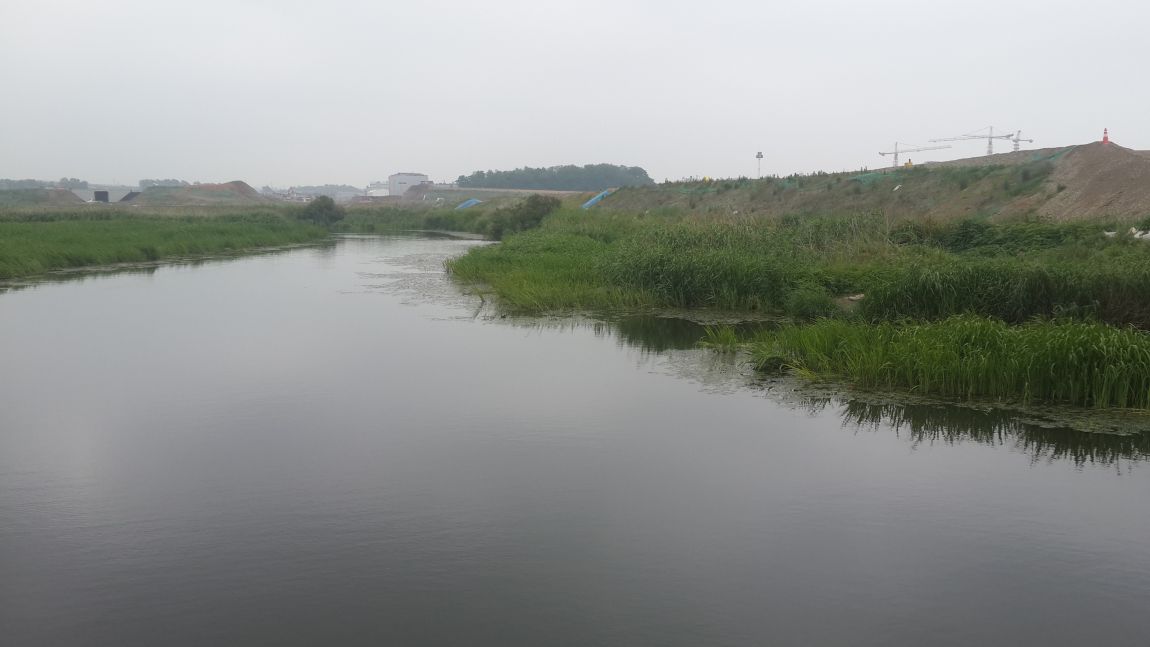 20150612_094808.jpg