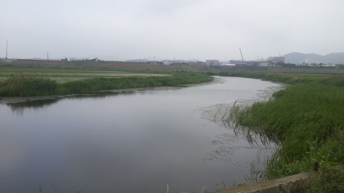 20150612_094816.jpg
