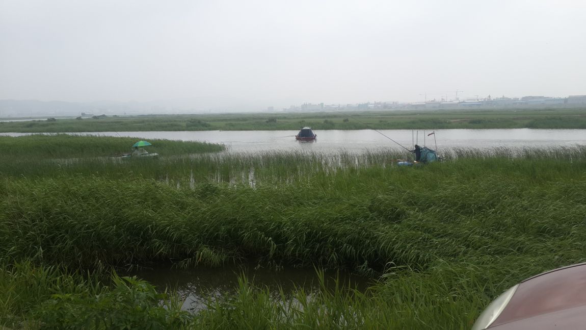20150612_102911.jpg