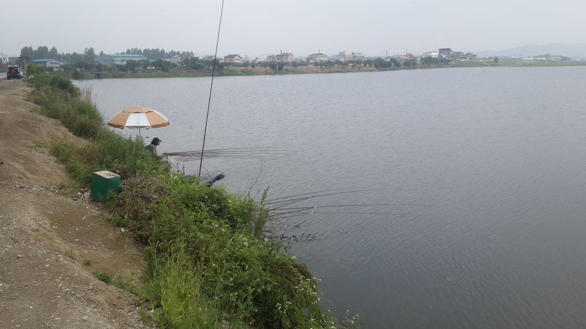 20150612_103548.jpg