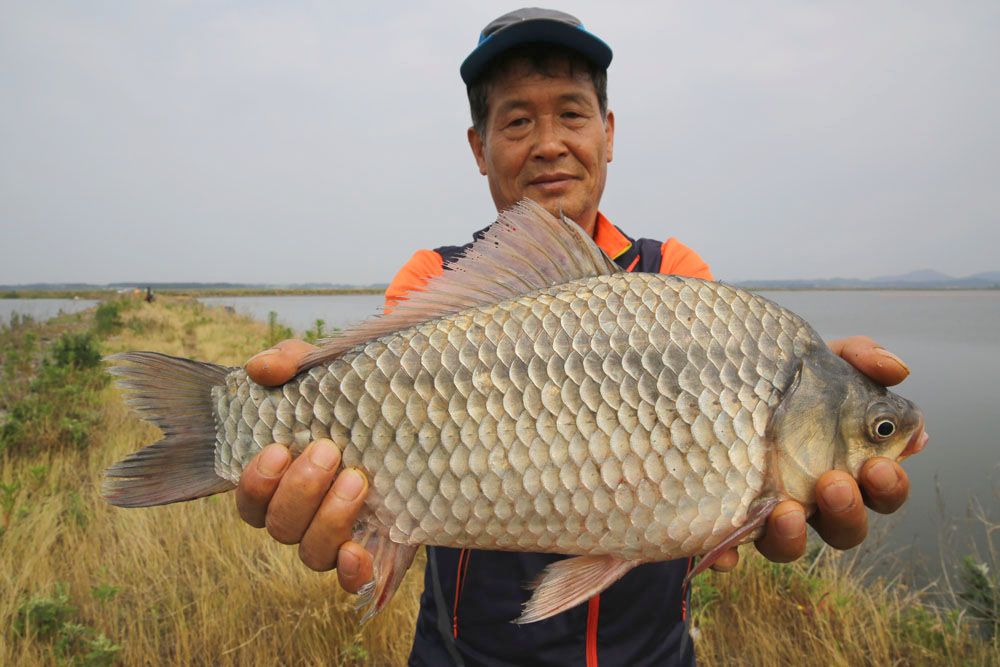 �۱ټ����� ���� 45cm�ؾ� ���� ����� �빰 �����մϴ�.jpg