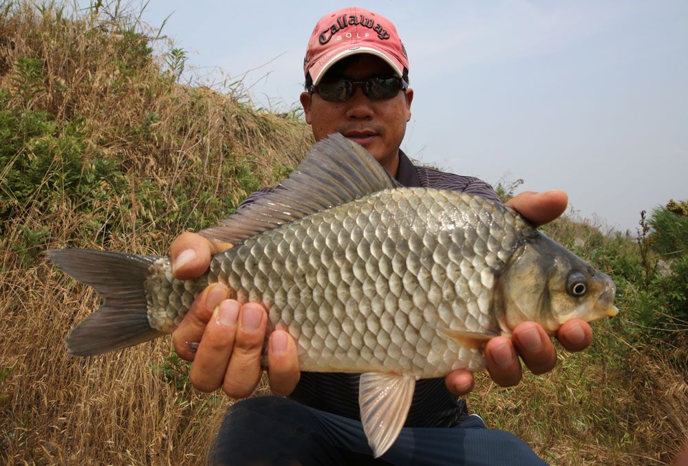 ������� 37cm �ؾ� ���� ����� �빰 �����մϴ�.jpg