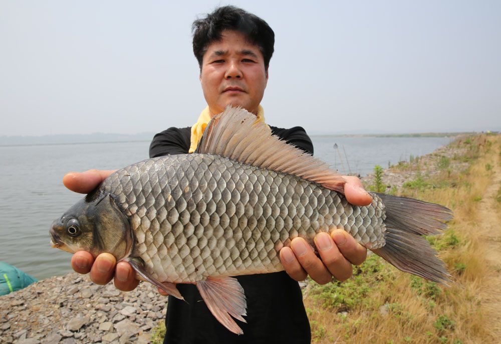 Ѵ  40cm ؾ   빰 մϴ.jpg
