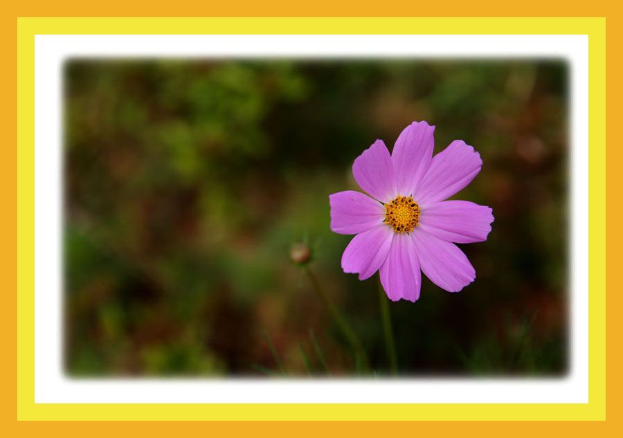 ������ �ڽ���1.jpg