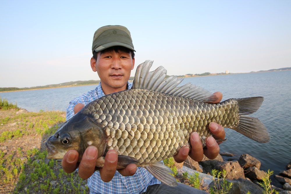 �ǿ������ ���� 43cm ���� ����� �빰 �����մϴ�.jpg