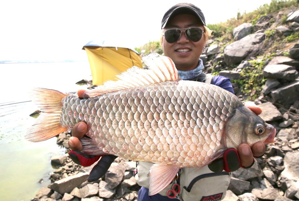 �������� ���� 46cm�ؾ� ���� ����� �빰 �����մϴ�.jpg