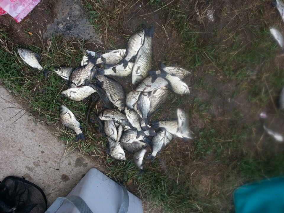 ������-0715.jpeg