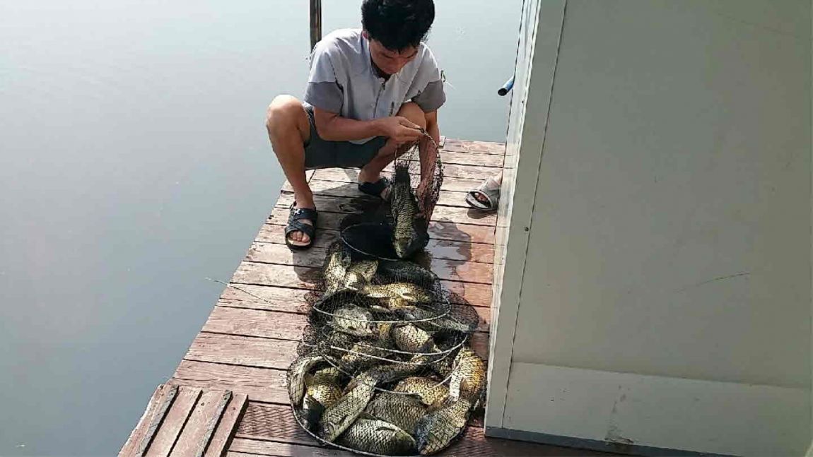 ������Ȳ8.7 014.jpg