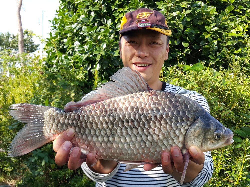   45cm ؾ   빰 մϴ.jpg