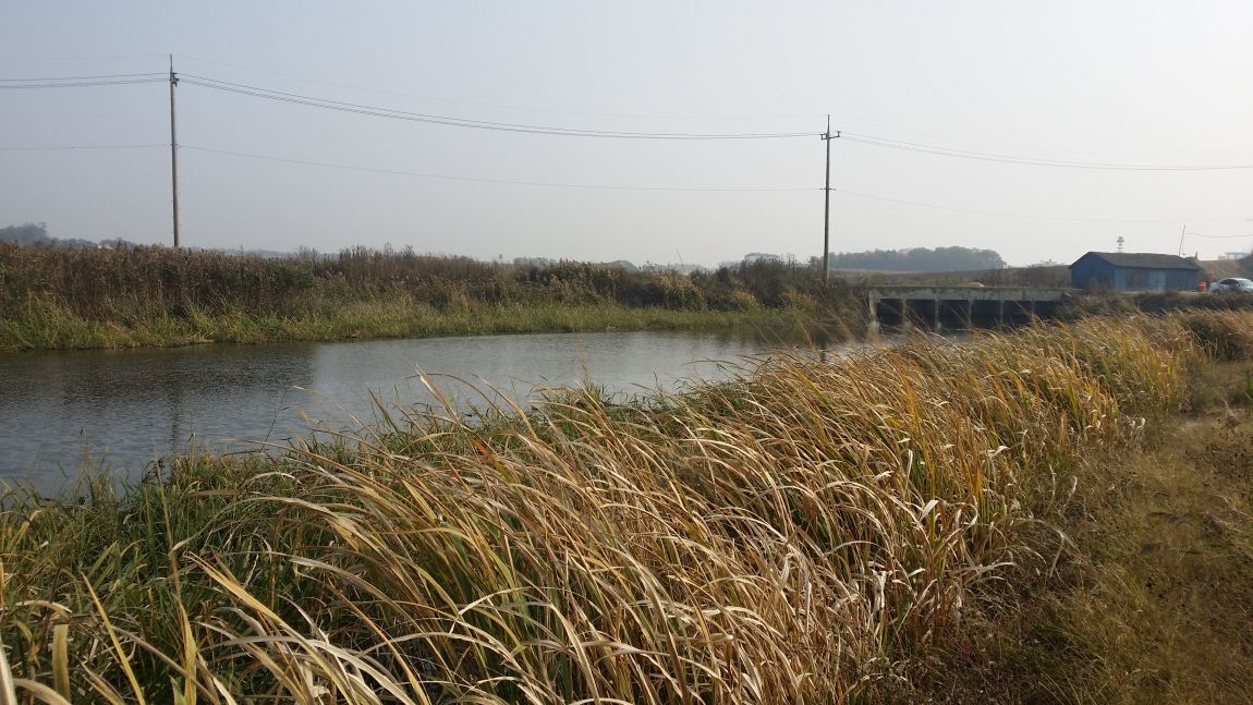20151020_145529.jpg