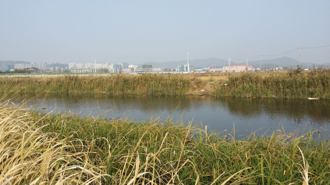 20151020_145534.jpg