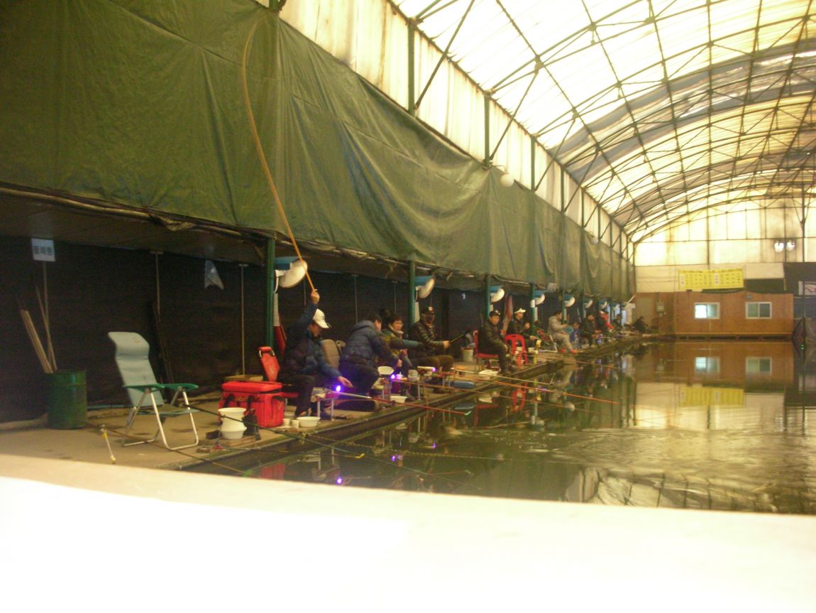 DSCN4552.JPG