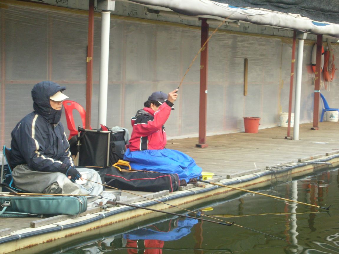 DSCN4556.JPG