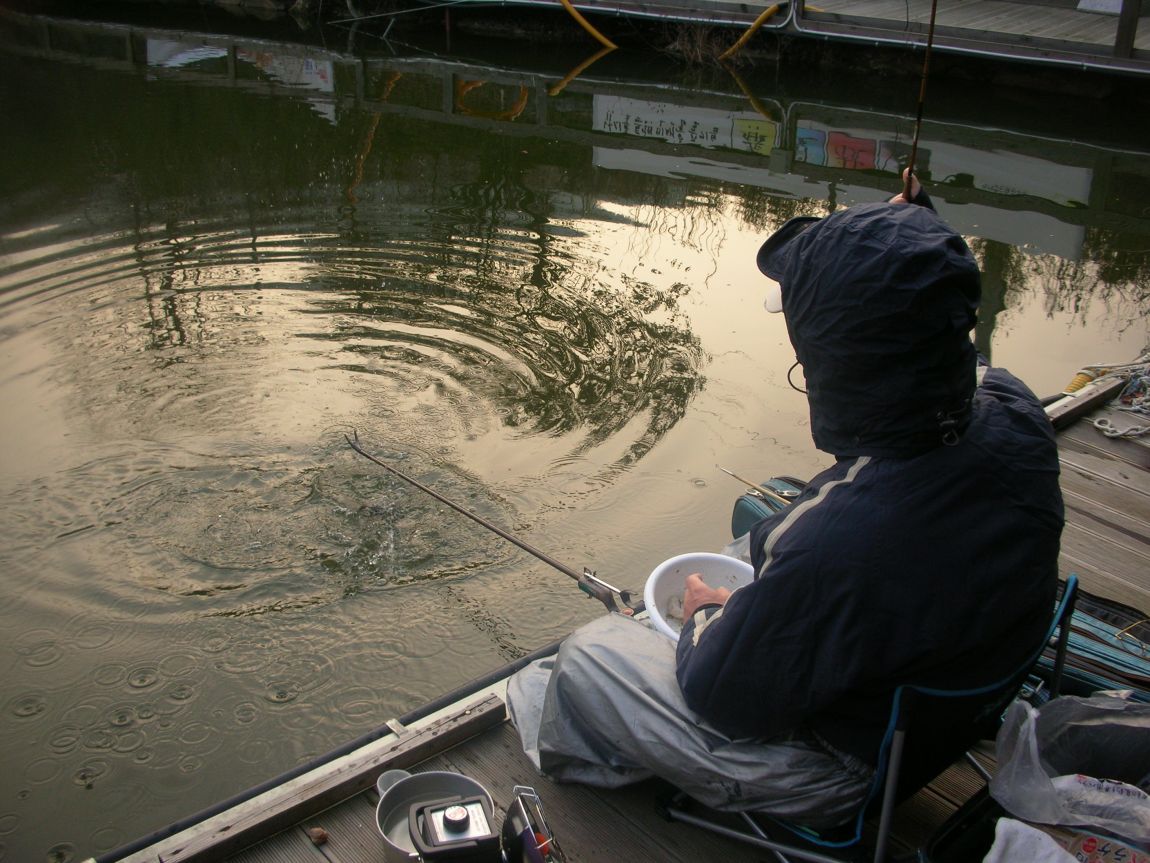 DSCN4558.JPG