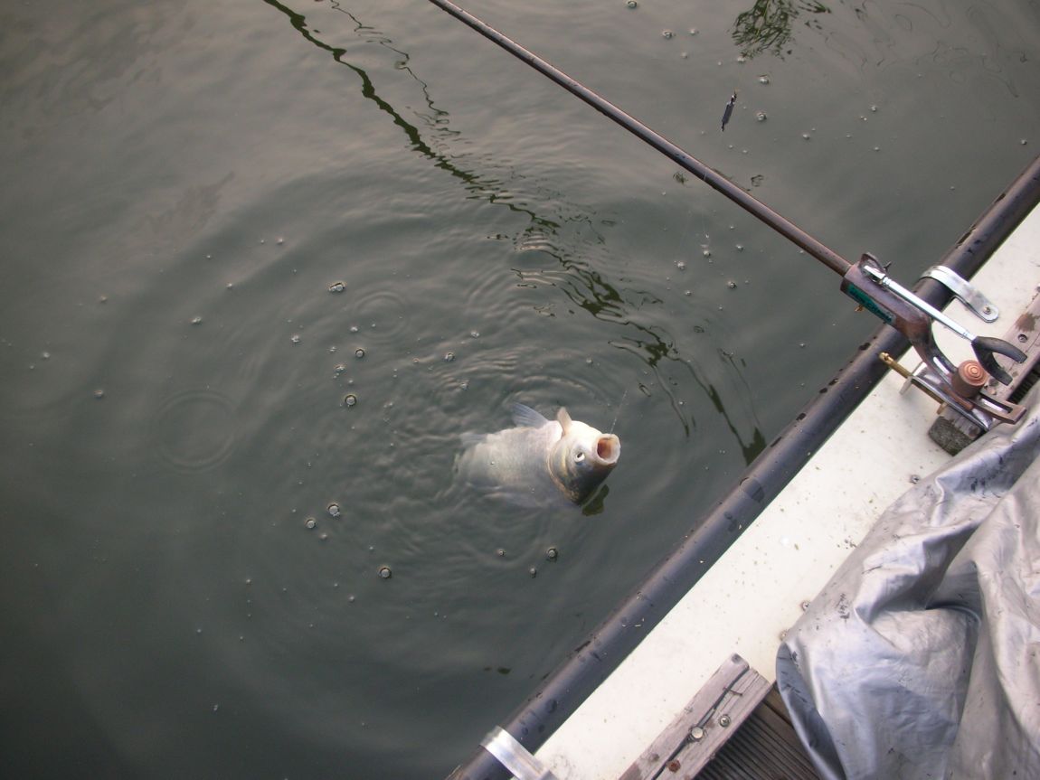 DSCN4559.JPG