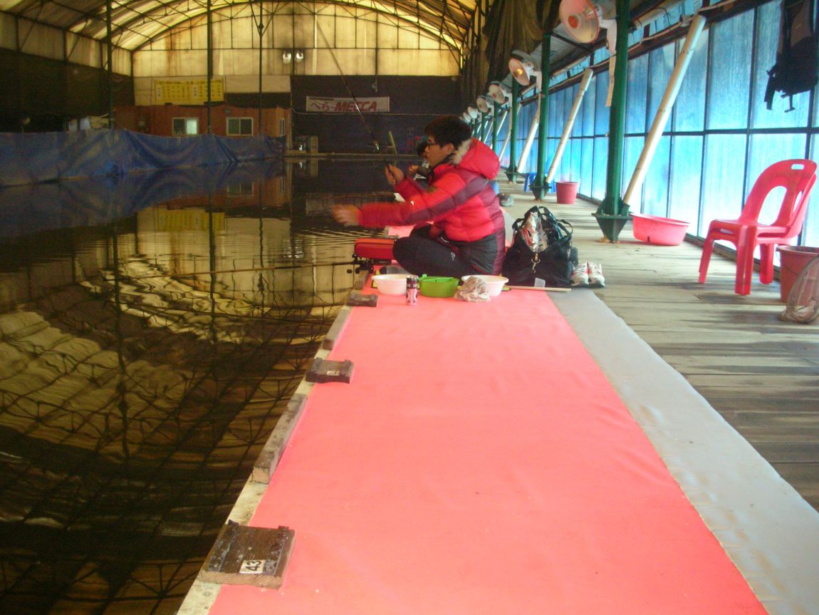 DSCN4562.JPG