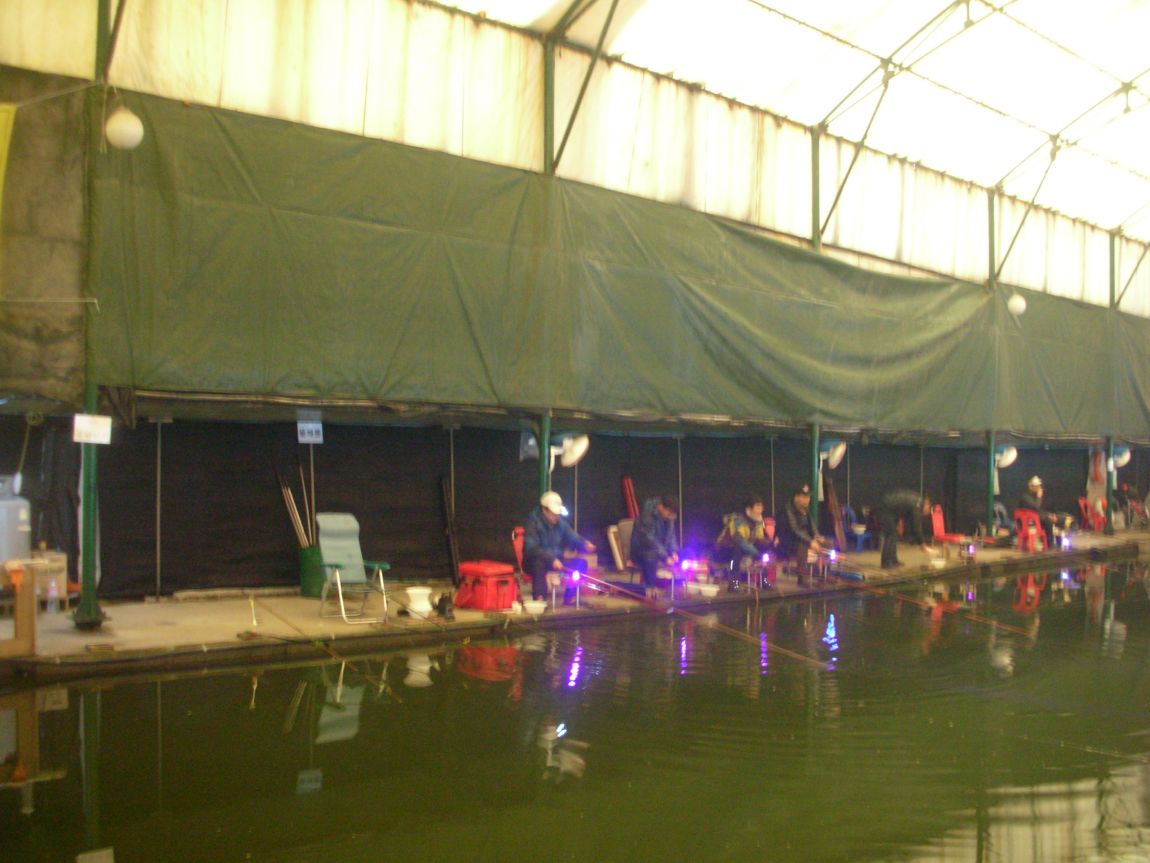 DSCN4565.JPG