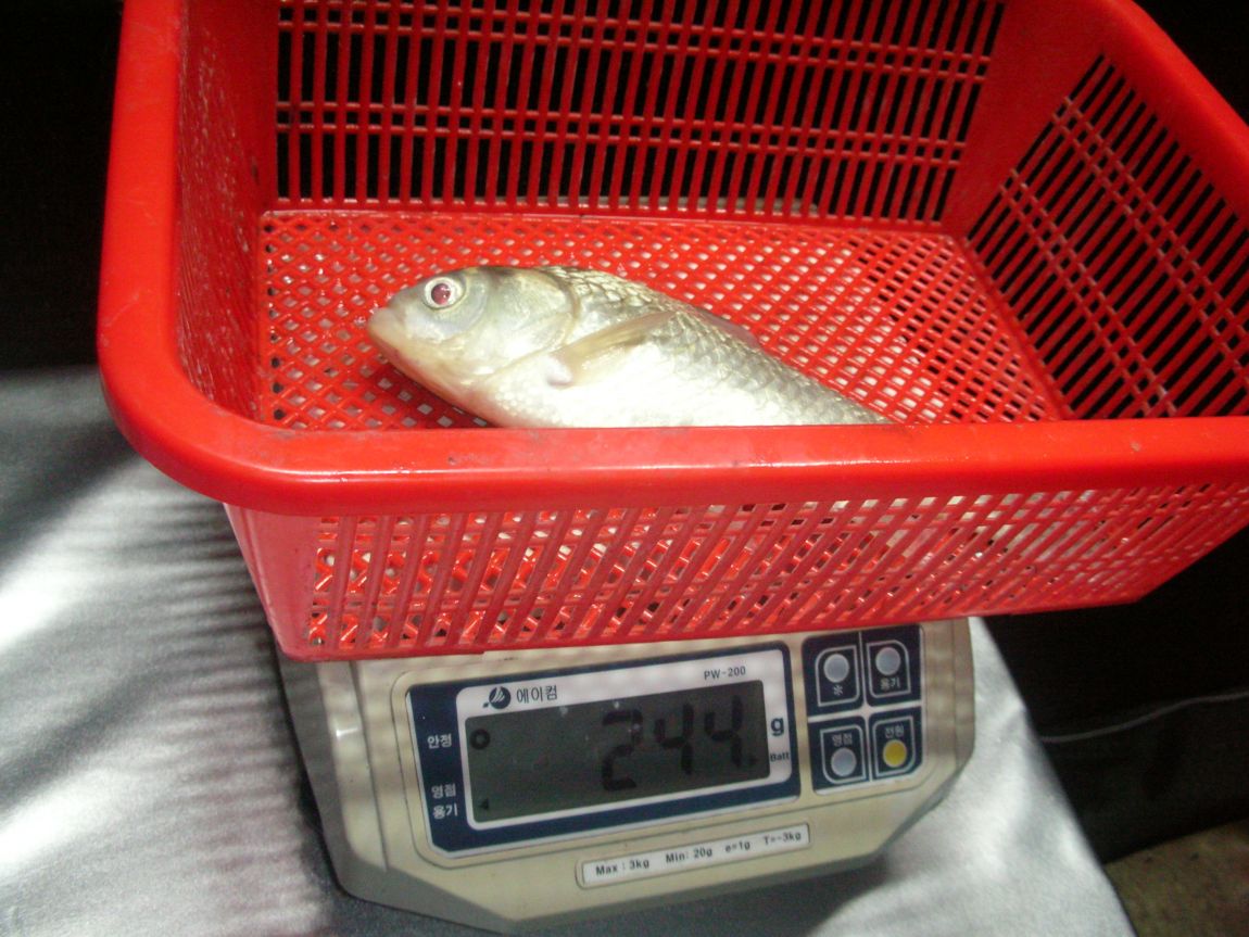 DSCN4568.JPG