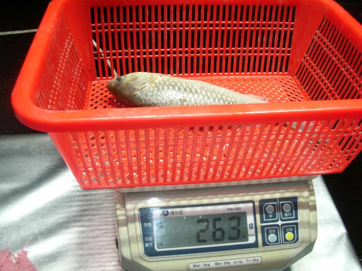 DSCN4570.JPG