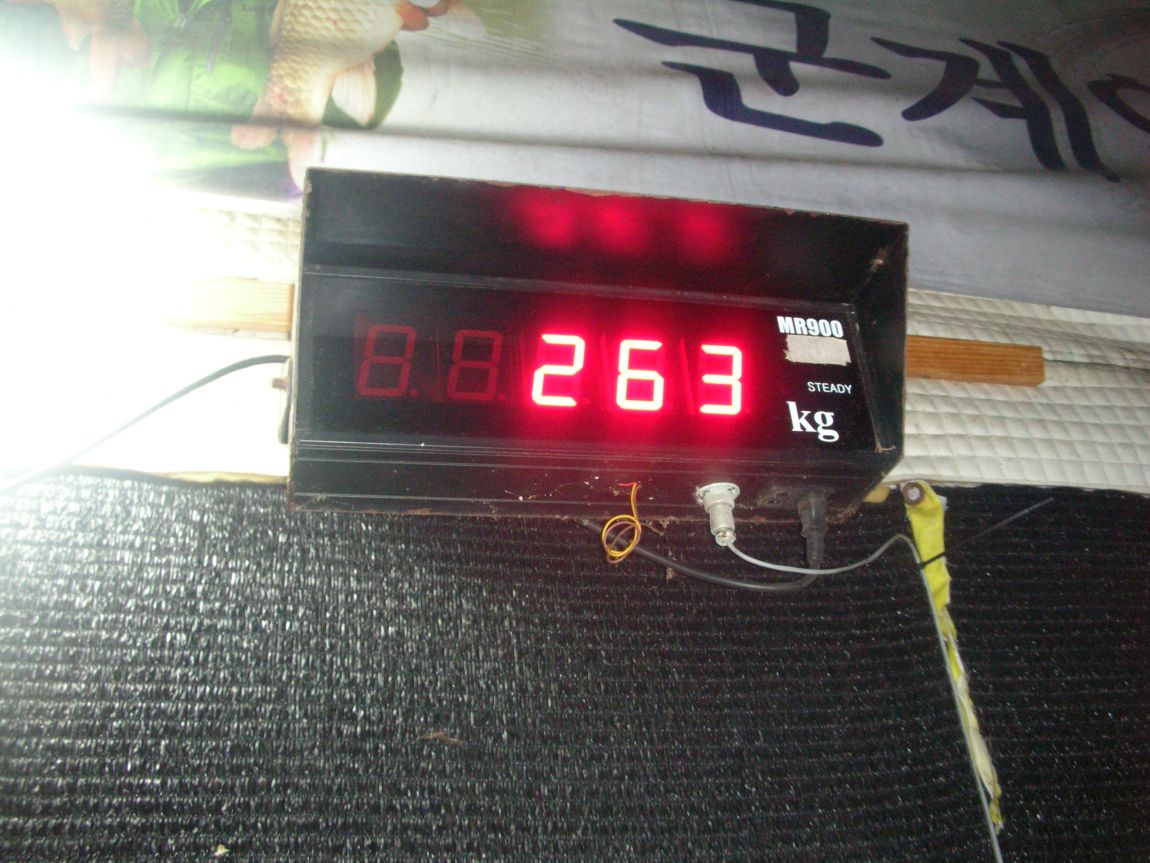 DSCN4571.JPG