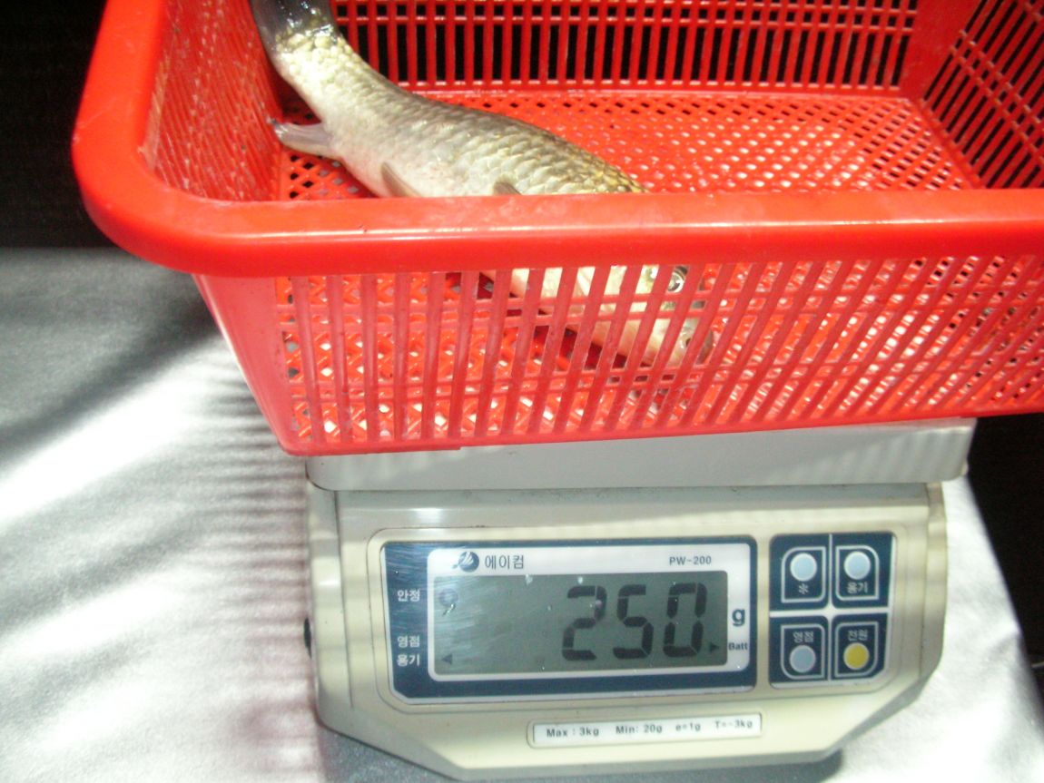 DSCN4572.JPG