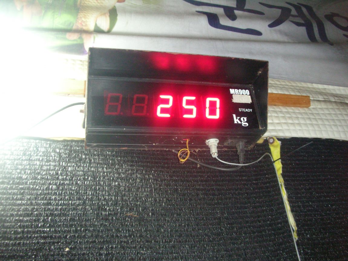 DSCN4573.JPG