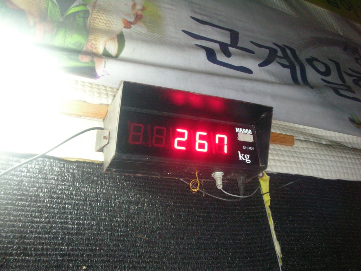 DSCN4575.JPG