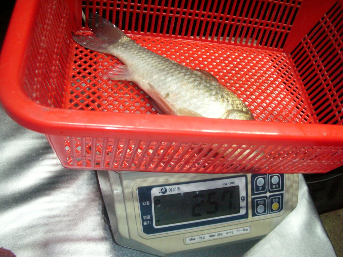 DSCN4576.JPG