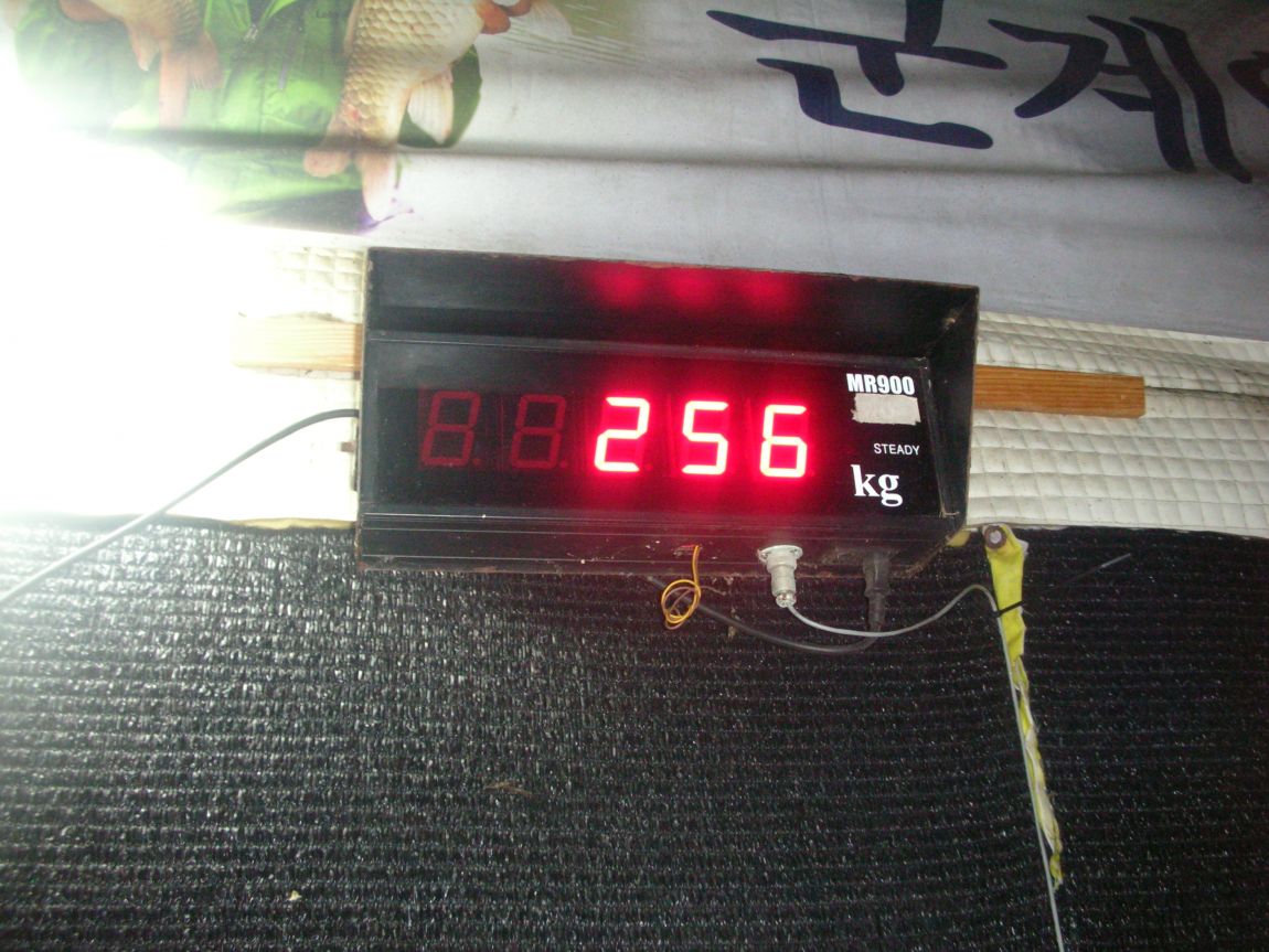 DSCN4577.JPG