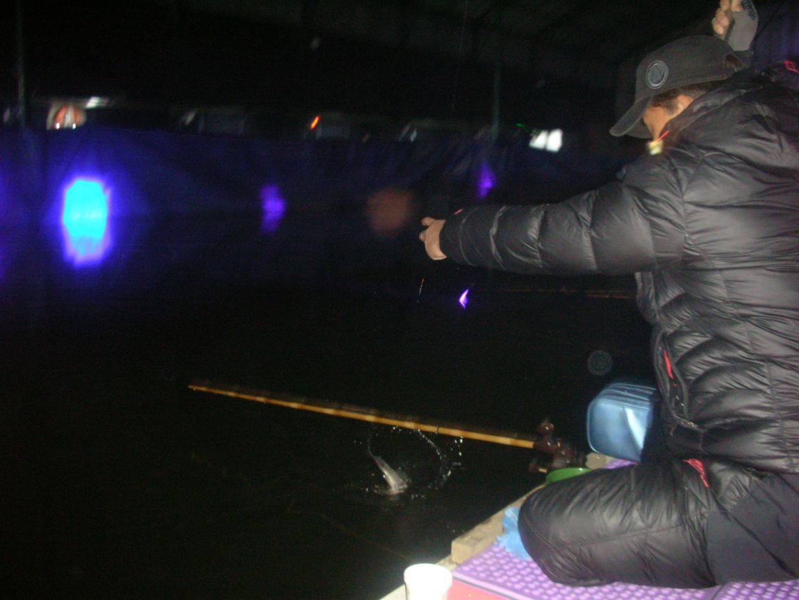 DSCN4584.JPG